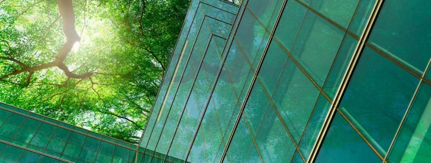 green-glass-office-building-with-trees-and-sun